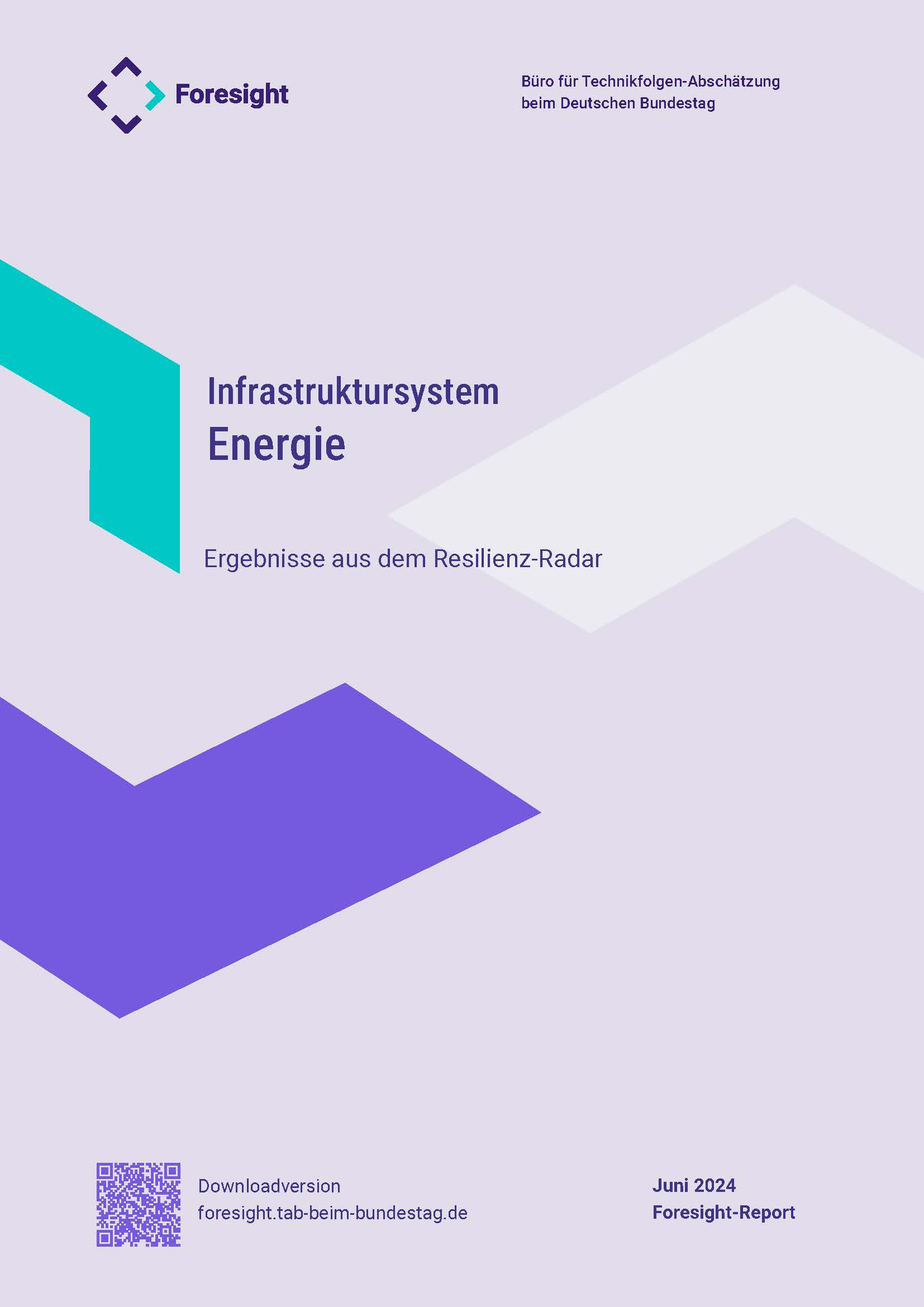 Titel Foresight-Report zum Infrastruktursystem Energie